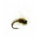 Caddis Pupa Olive