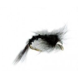 Camdens Baetis Nymph - 1