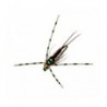 Copper John Red Steelhead Fly