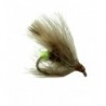 Egg Laying Caddis