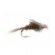 Flash Back Pheasant Tail - 1