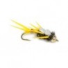 Golden Stone Fly Golden Stone