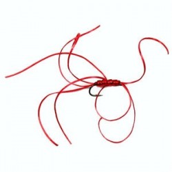 Red Beaded Quad Bloodworm - 1