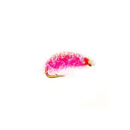 Steve'S Glitter Shrimp - 1