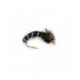 Zebra Midge