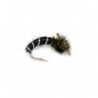 Zebra Midge