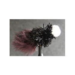 Booby Black Fritz - 1