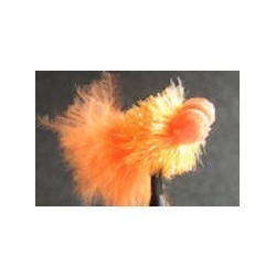 Booby Orange Fritz - 1