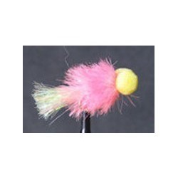 Booby Pink Sunburst - 1