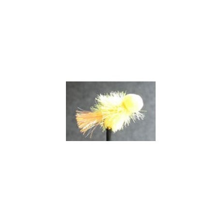 Booby Sunburst Fritz - 1