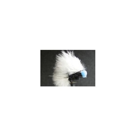 Booby White Fritz Blue Eyes - 1