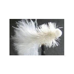 Booby White Fritz