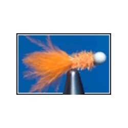 Cactus Booby Orange