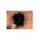 Fab Black - 1