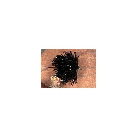 Fab Black - 1