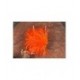 Fab Fluo Orange - 1