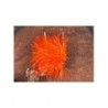 Fab Fluo Orange