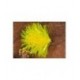 Fab Fluo Yellow