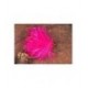 Fab Int Pink - 1