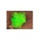 Fab Lime - 1