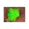 Fab Lime
