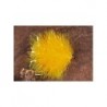 Fab Sunburst