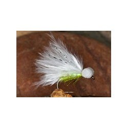 Pseudo Cat Booby White Chart - 1