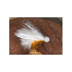 Pseudo Cat Booby White Sunburst - 1