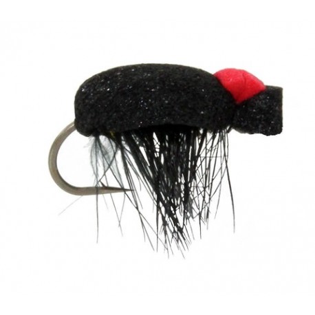 Black Foam Beetle Red Back - 1