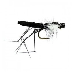 Black Foam Hawthorn - 1