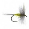 Blue Winged Olive