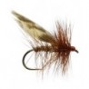 Brown Flag Sedge