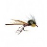 Cdc Daddy Long Legs
