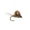 Cdc Emerger Hares Ear