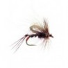 Cdc Hopper Claret
