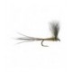 Cdc Mayfly Dun