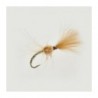 Cdc Shuttlecock Hares Ear