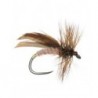 Cinnamon Sedge