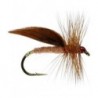 Cinnamon Sedge
