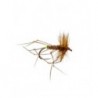 Deadly Daddy Long Legs