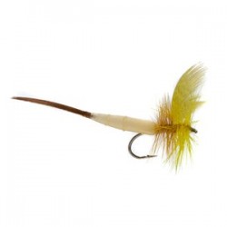 Detached Mayfly Yellow Drake - 1