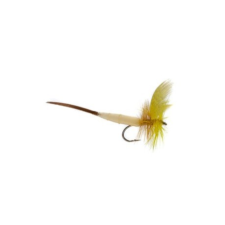Detached Mayfly Yellow Drake - 1