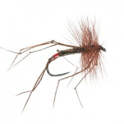 Daddy Long Legs Barbless - 1