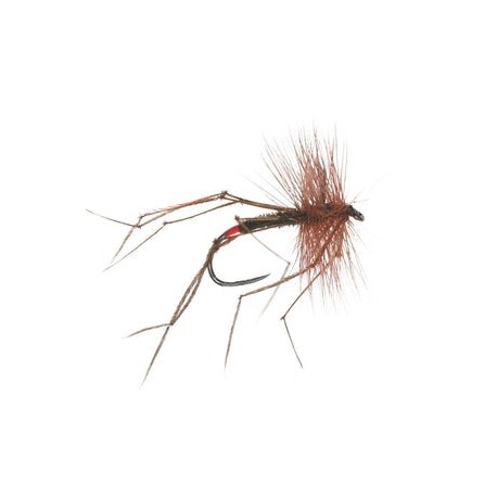 Daddy Long Legs Barbless - 1