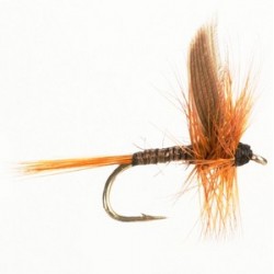 Dry Winged Red Quill - 1