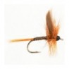 Dry Winged Red Quill