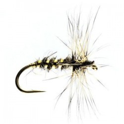 Gold Ribbed Hares Ear - 1