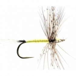 Hackled Dry Flies C - 1