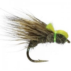 Hares Ear Halfhog - 1