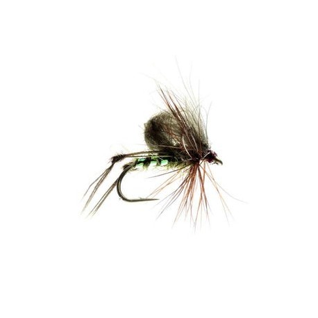 Hopper Olive Cdc - 1